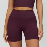 Plum Wine Red Women's Seamless Fitted Yoga Workout Shorts High Waist